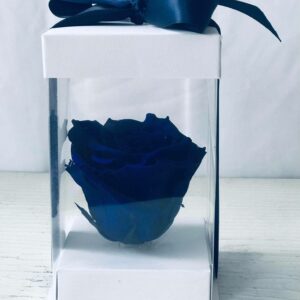 Single Blue Forever Rose-Salon Des Fleurs
