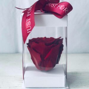 Single Red Forever Rose-Salon Des Fleurs