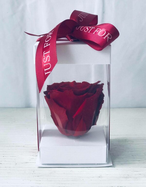 Single Red Forever Rose-Salon Des Fleurs